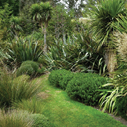 Native planting for biodiversity